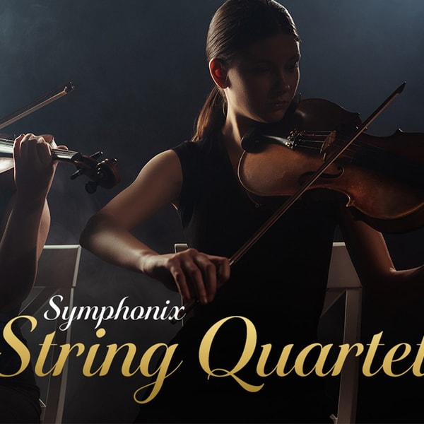 Symphonix String Quartet, performing Saturday and Sunday afternoon.