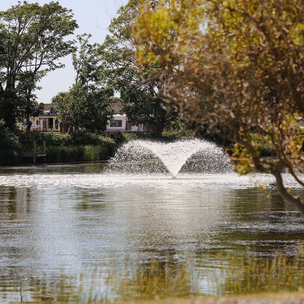 Nestled among vibrant trees, you’ll discover a lake with a beautiful water fountain, adding to the serene atmosphere and offering the perfect moment to pause and enjoy nature.