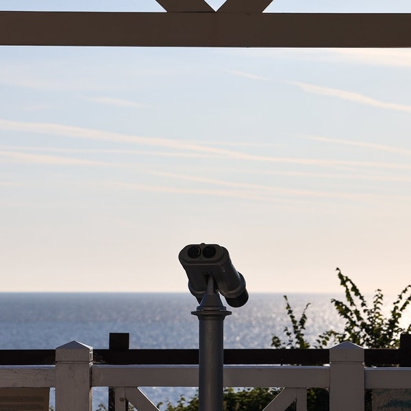 Find our viewing hut, take a look through the binoculars, and see what wonders you can spot out at sea.