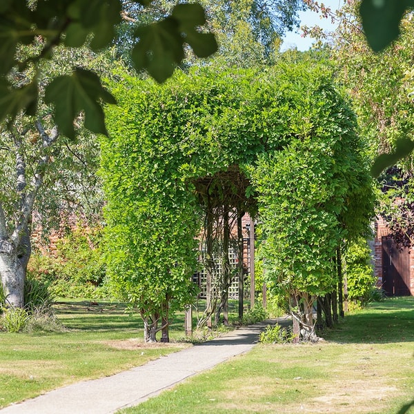 Stroll through the peaceful gardens at Gunton Hall and discover this charming topiary archway along the way.