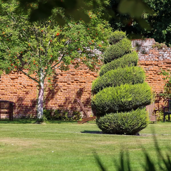 Take a seat and enjoy a moment of calm in this peaceful garden, complete with a charming topiary tree.