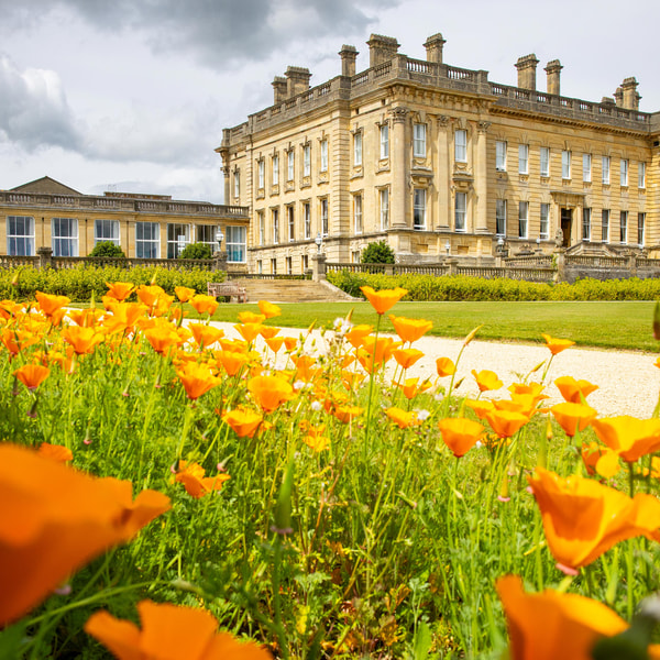 From colourful flowers to picturesque views, exploring the grounds at Heythrop Park is definitely recommended during your stay.