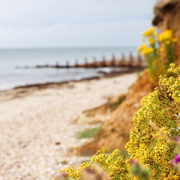 There’s nothing quite like the sound of waves meeting the shore and the fresh sea breeze on your face - take a stroll and soak up the scenery.