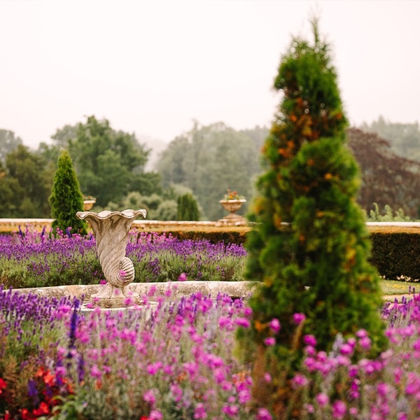 Wander through the vibrant gardens where bursts of colour meet intriguing sculptures, and every path reveals a new corner of natural beauty to discover.