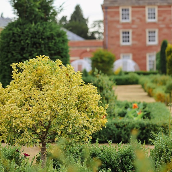 Take a stroll and take advantage of the therapeutic sights, sounds and scents of the glorious Herefordshire countryside.