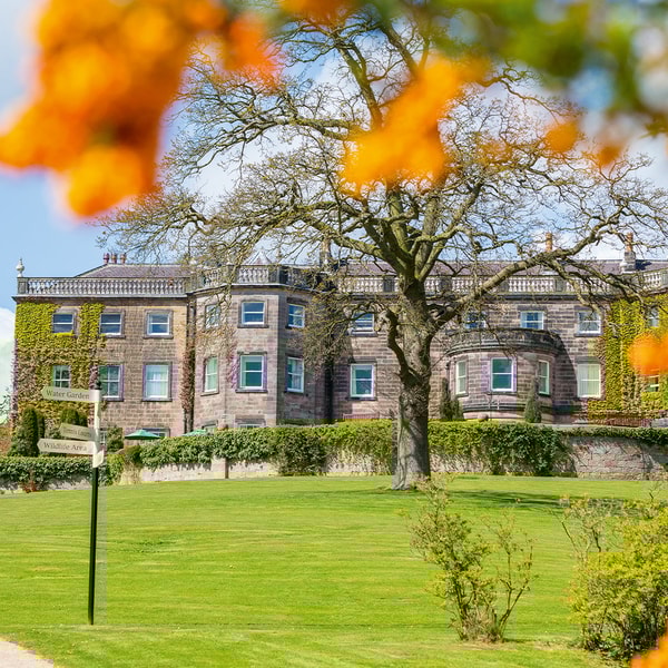 Bright bursts of colour frame Nidd Hall beautifully, making every stroll through the gardens feel like a scene from a storybook.