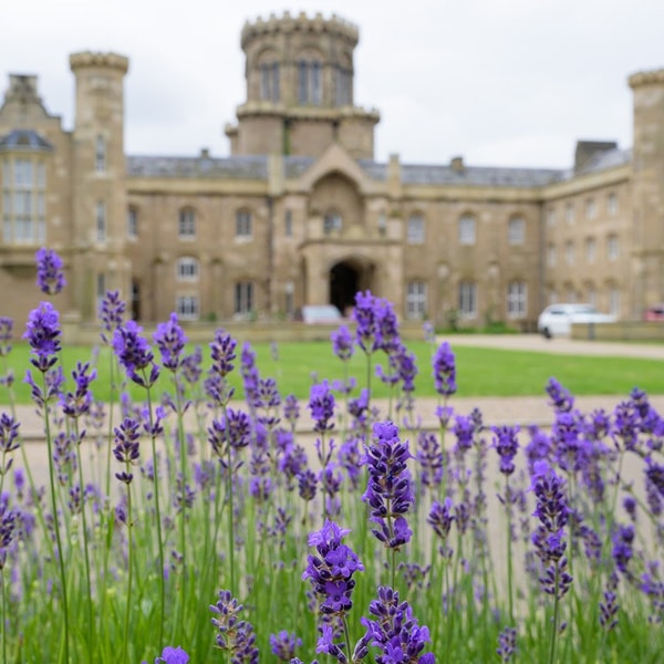 Pretty flowers and lush lawns surround Studley Castle, giving you a true sense of the Warwickshire countryside just steps from your room.