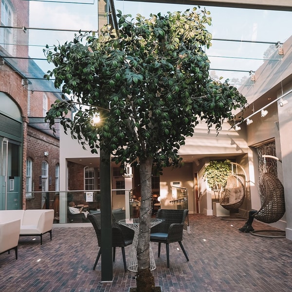 Step into the spa and feel relaxed from the moment you arrive. Set in a courtyard-style orangery with a glorious tree at its centre, the reception invites you to unwind before your treatment.