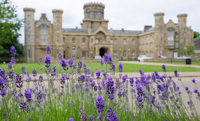 Studley Castle, with vibrant purple flowers blooming in front of it.