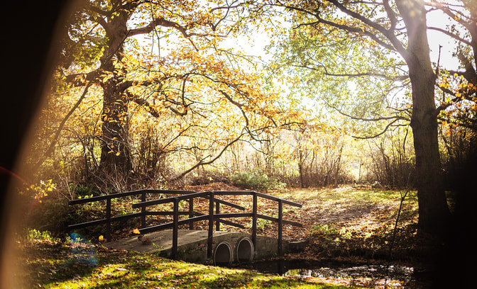 The beautiful lake at Gunton Hall