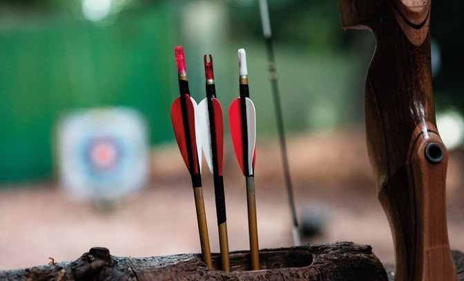 Close up of some arrow fletchings used for archery at Thoresby Hall Hotel