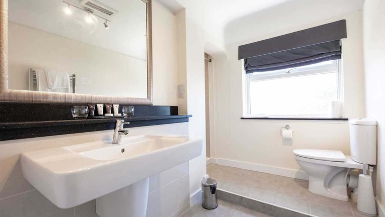 Royal bedroom en-suite bathroom with a large vanity sink, mirror, WC, and natural light from a window.