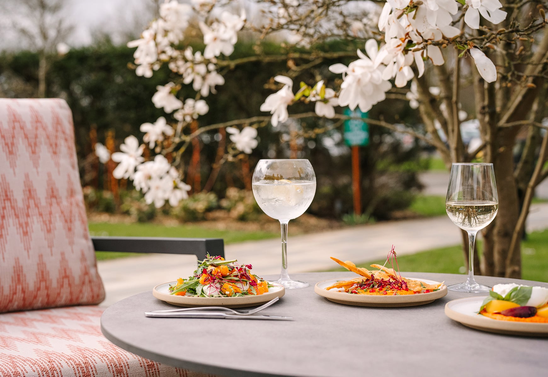 Outdoor table set with small plates of food and two glasses of white wine, framed by blooming tree branches in a garden setting