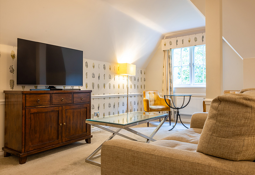 Contemporary Royale room