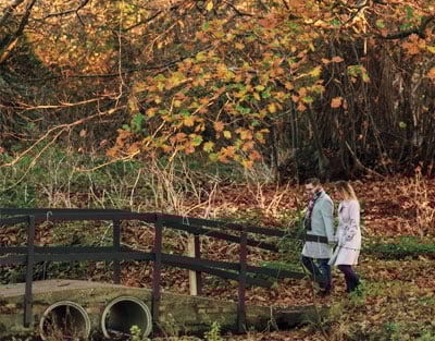 Four hands raise various cocktails in a toast, with a festive Christmas tree adorned with lights and ornaments in the background.