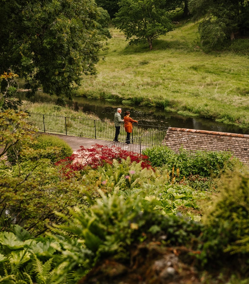 A couple stands by a serene river, surrounded by lush greenery and colorful plants, enjoying a peaceful moment together.