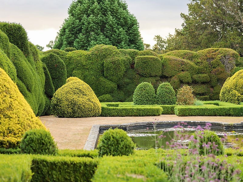 Holme lacy grounds